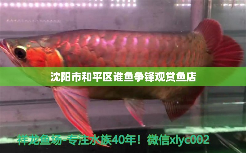 沈陽(yáng)市和平區(qū)誰(shuí)魚(yú)爭(zhēng)鋒觀賞魚(yú)店 全國(guó)水族館企業(yè)名錄