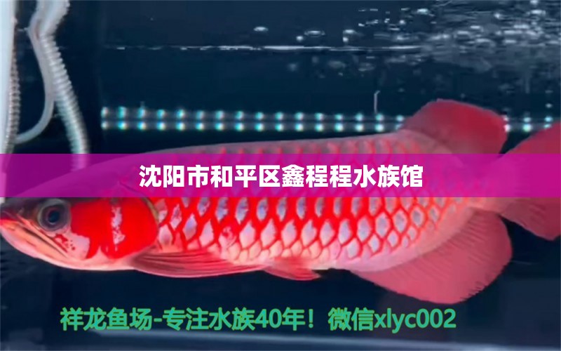 沈陽(yáng)市和平區(qū)鑫程程水族館