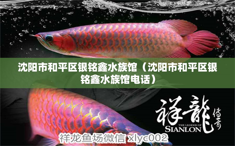 沈陽市和平區(qū)銀銘鑫水族館（沈陽市和平區(qū)銀銘鑫水族館電話） 全國水族館企業(yè)名錄