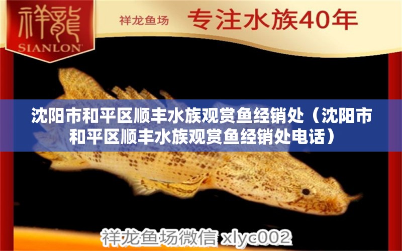 沈陽市和平區(qū)順豐水族觀賞魚經(jīng)銷處（沈陽市和平區(qū)順豐水族觀賞魚經(jīng)銷處電話）