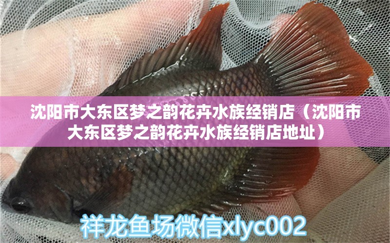 沈陽市大東區(qū)夢之韻花卉水族經(jīng)銷店（沈陽市大東區(qū)夢之韻花卉水族經(jīng)銷店地址） 全國水族館企業(yè)名錄