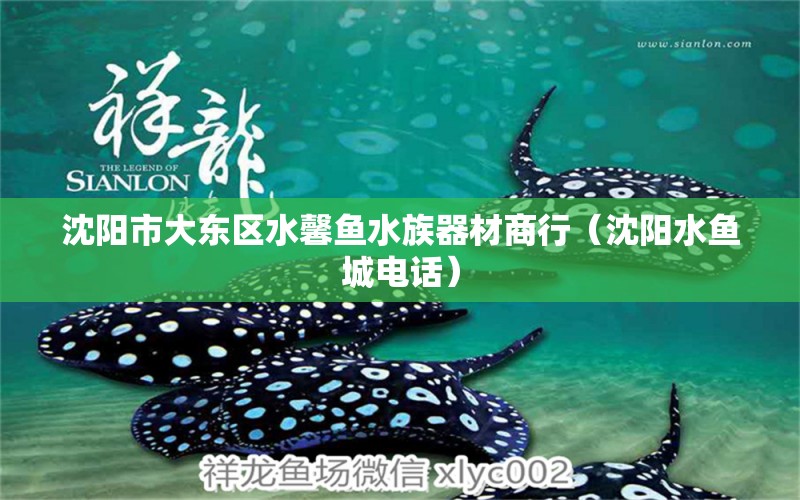 沈陽市大東區(qū)水馨魚水族器材商行（沈陽水魚城電話）