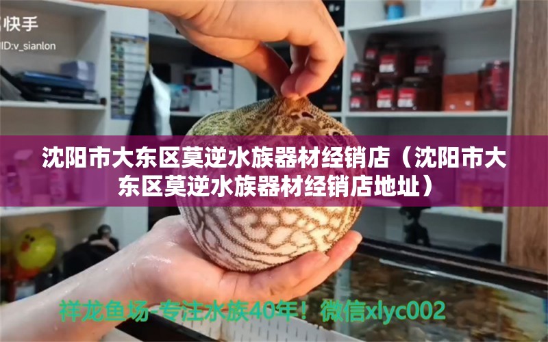 沈陽(yáng)市大東區(qū)莫逆水族器材經(jīng)銷店（沈陽(yáng)市大東區(qū)莫逆水族器材經(jīng)銷店地址） 全國(guó)水族館企業(yè)名錄