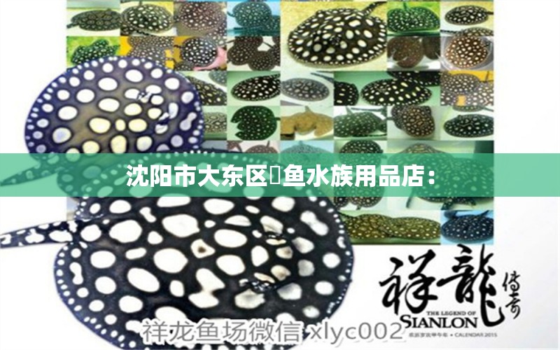 沈陽市大東區(qū)鱻魚水族用品店： 水族用品