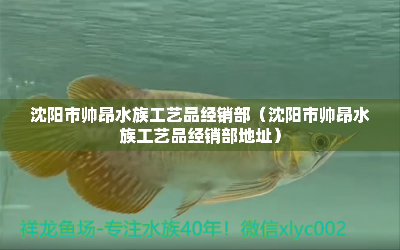 沈陽市帥昂水族工藝品經(jīng)銷部（沈陽市帥昂水族工藝品經(jīng)銷部地址）