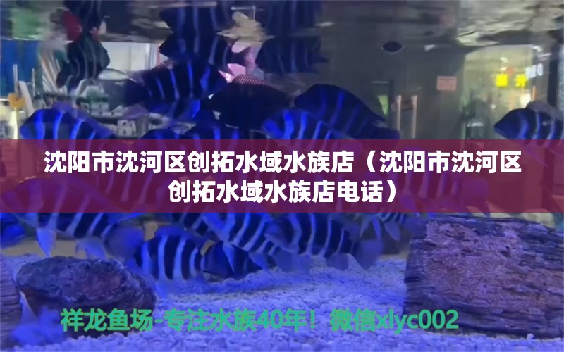 沈陽(yáng)市沈河區(qū)創(chuàng)拓水域水族店（沈陽(yáng)市沈河區(qū)創(chuàng)拓水域水族店電話）