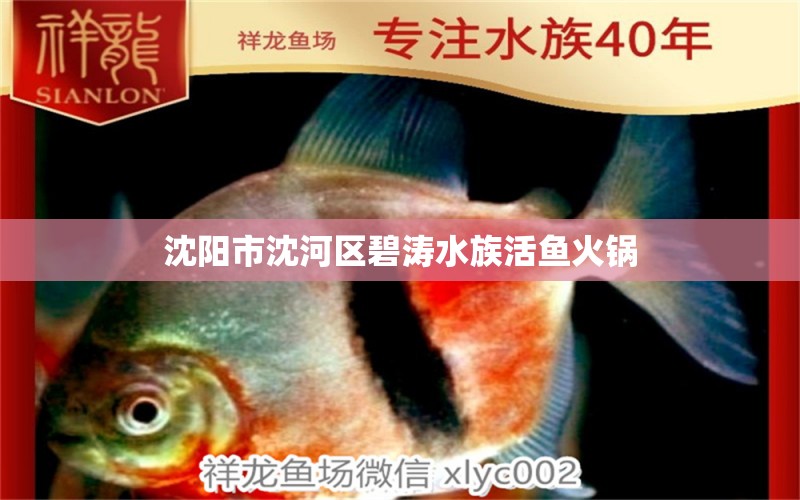 沈陽(yáng)市沈河區(qū)碧濤水族活魚火鍋