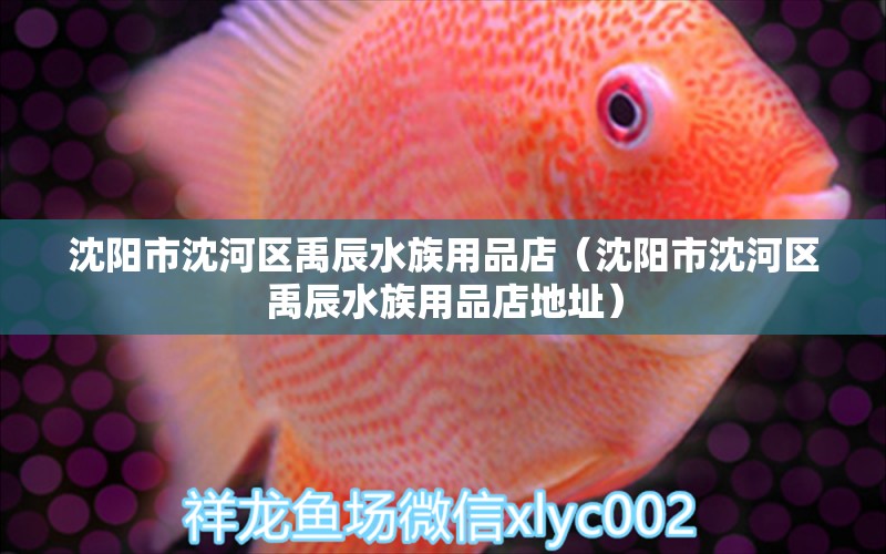 沈陽市沈河區(qū)禹辰水族用品店（沈陽市沈河區(qū)禹辰水族用品店地址） 水族用品