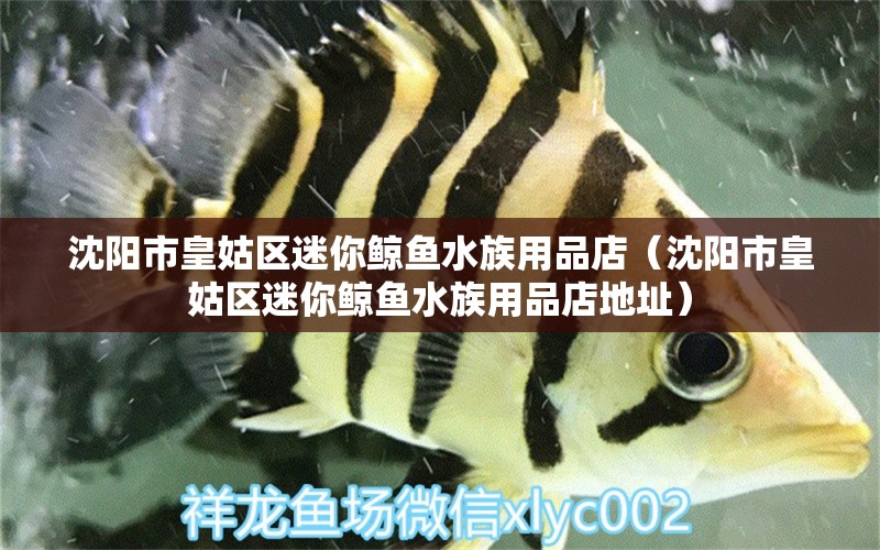 沈陽市皇姑區(qū)迷你鯨魚水族用品店（沈陽市皇姑區(qū)迷你鯨魚水族用品店地址） 水族用品