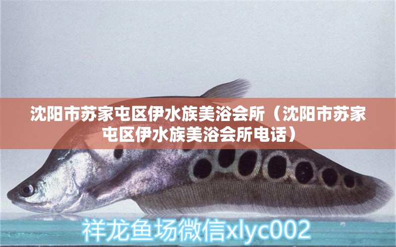 沈陽市蘇家屯區(qū)伊水族美浴會所（沈陽市蘇家屯區(qū)伊水族美浴會所電話）