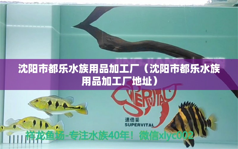 沈陽市都樂水族用品加工廠（沈陽市都樂水族用品加工廠地址）