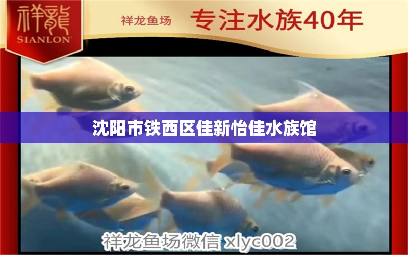 沈陽市鐵西區(qū)佳新怡佳水族館