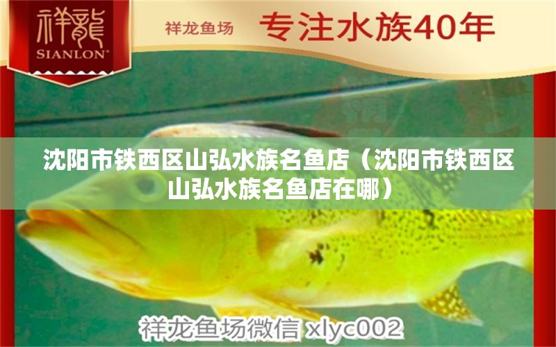 沈陽市鐵西區(qū)山弘水族名魚店（沈陽市鐵西區(qū)山弘水族名魚店在哪） 全國水族館企業(yè)名錄