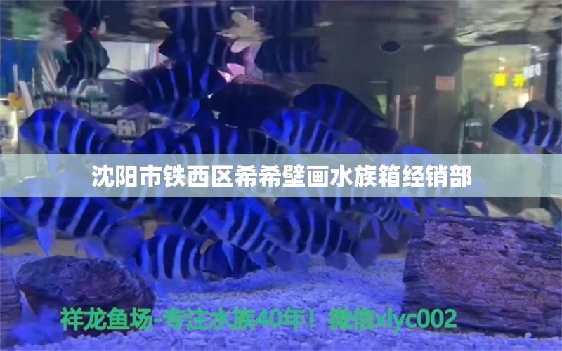 沈陽市鐵西區(qū)希希壁畫水族箱經(jīng)銷部