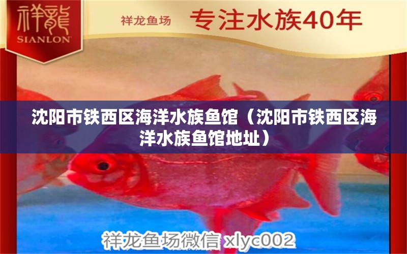 沈陽市鐵西區(qū)海洋水族魚館（沈陽市鐵西區(qū)海洋水族魚館地址）