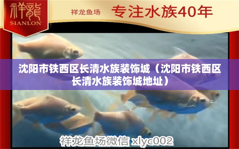 沈陽市鐵西區(qū)長清水族裝飾城（沈陽市鐵西區(qū)長清水族裝飾城地址）