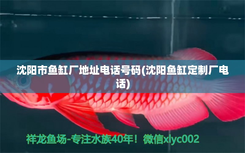 沈陽市魚缸廠地址電話號(hào)碼(沈陽魚缸定制廠電話) 魚缸定做 第1張