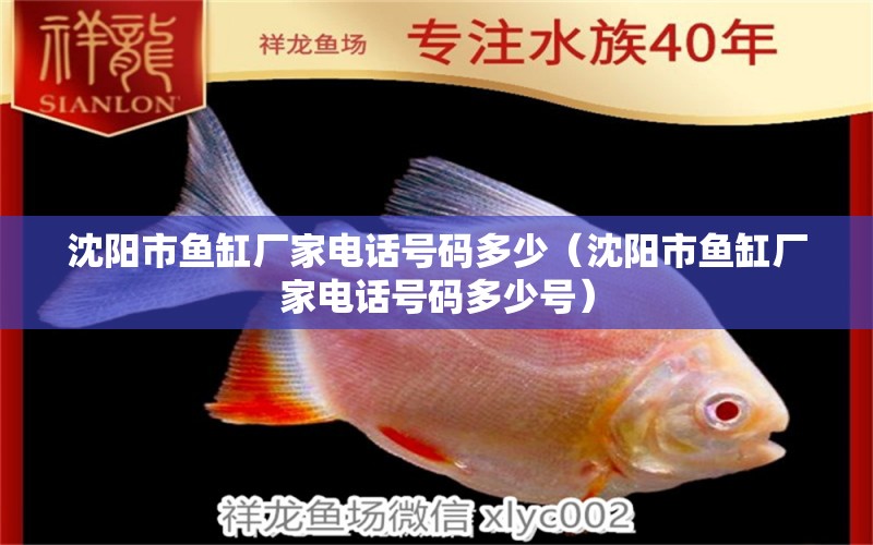 沈陽市魚缸廠家電話號碼多少（沈陽市魚缸廠家電話號碼多少號）