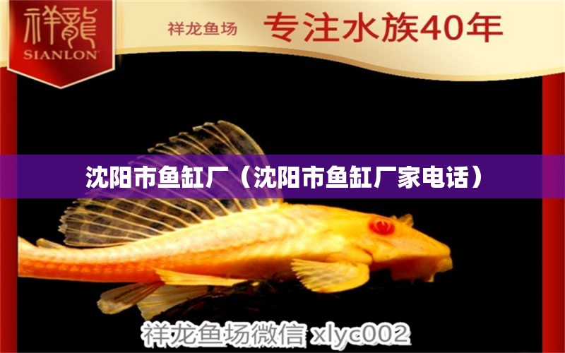 沈陽市魚缸廠（沈陽市魚缸廠家電話） 其他品牌魚缸