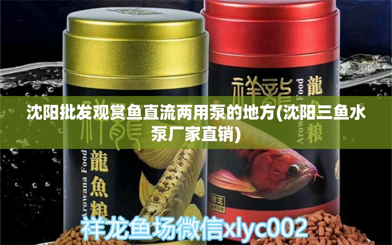 沈陽批發(fā)觀賞魚直流兩用泵的地方(沈陽三魚水泵廠家直銷)