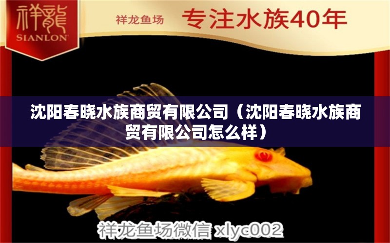 沈陽(yáng)春曉水族商貿(mào)有限公司（沈陽(yáng)春曉水族商貿(mào)有限公司怎么樣） 全國(guó)水族館企業(yè)名錄