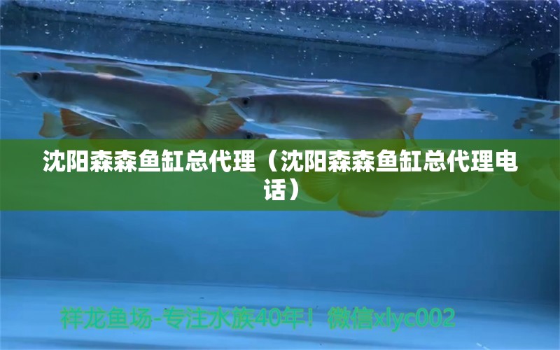 沈陽(yáng)森森魚(yú)缸總代理（沈陽(yáng)森森魚(yú)缸總代理電話）