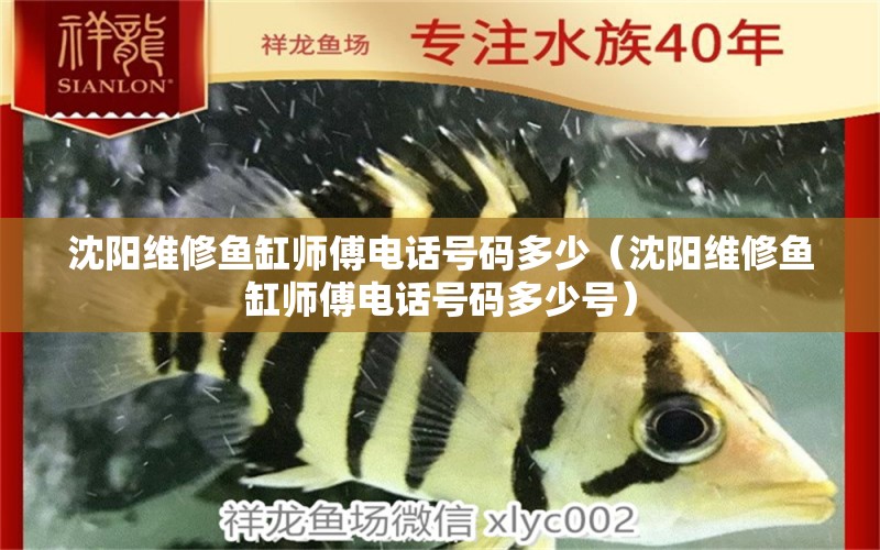 沈陽維修魚缸師傅電話號碼多少（沈陽維修魚缸師傅電話號碼多少號）