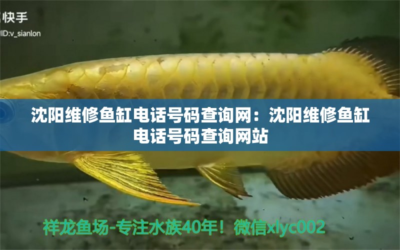 沈陽維修魚缸電話號碼查詢網(wǎng)：沈陽維修魚缸電話號碼查詢網(wǎng)站