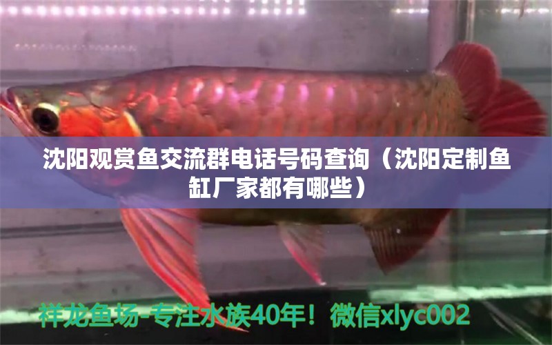 沈陽觀賞魚交流群電話號(hào)碼查詢（沈陽定制魚缸廠家都有哪些） 魚缸百科 第2張