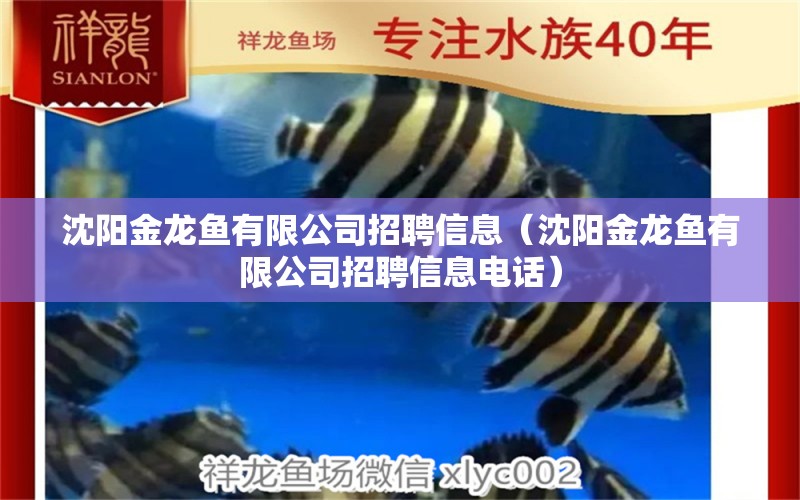 沈陽金龍魚有限公司招聘信息（沈陽金龍魚有限公司招聘信息電話） 金頭過背金龍魚