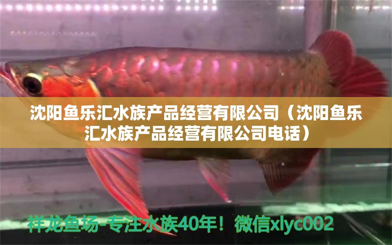 沈陽魚樂匯水族產品經營有限公司（沈陽魚樂匯水族產品經營有限公司電話） 全國水族館企業(yè)名錄