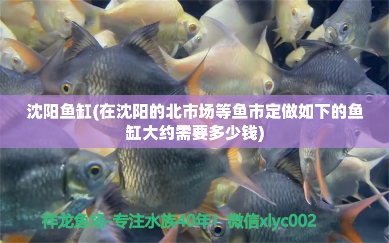 沈陽魚缸(在沈陽的北市場等魚市定做如下的魚缸大約需要多少錢) 魚缸百科