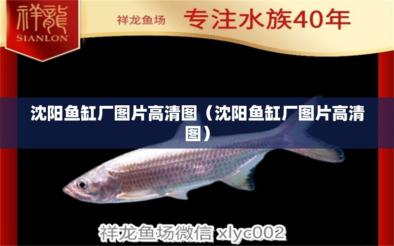 沈陽魚缸廠圖片高清圖（沈陽魚缸廠圖片高清圖）