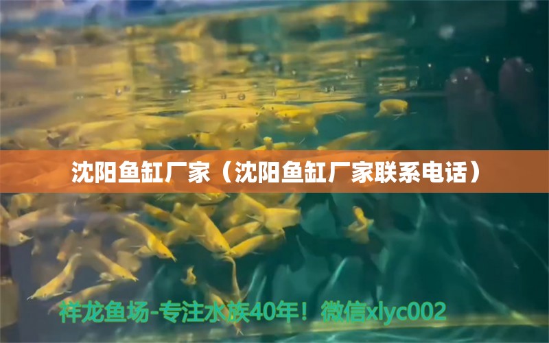 沈陽魚缸廠家（沈陽魚缸廠家聯(lián)系電話）