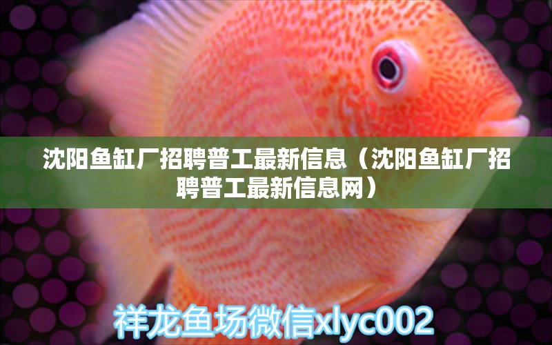 沈陽魚缸廠招聘普工最新信息（沈陽魚缸廠招聘普工最新信息網(wǎng)）