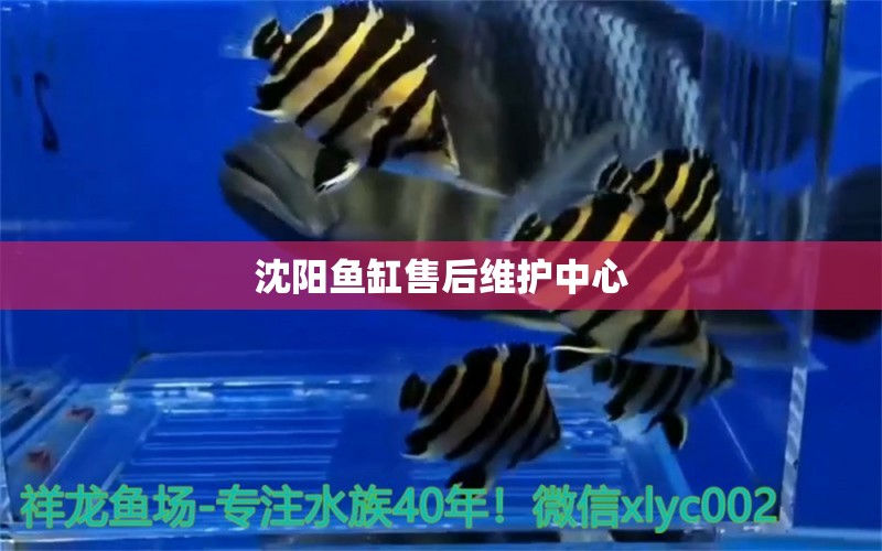 沈陽魚缸售后維護中心