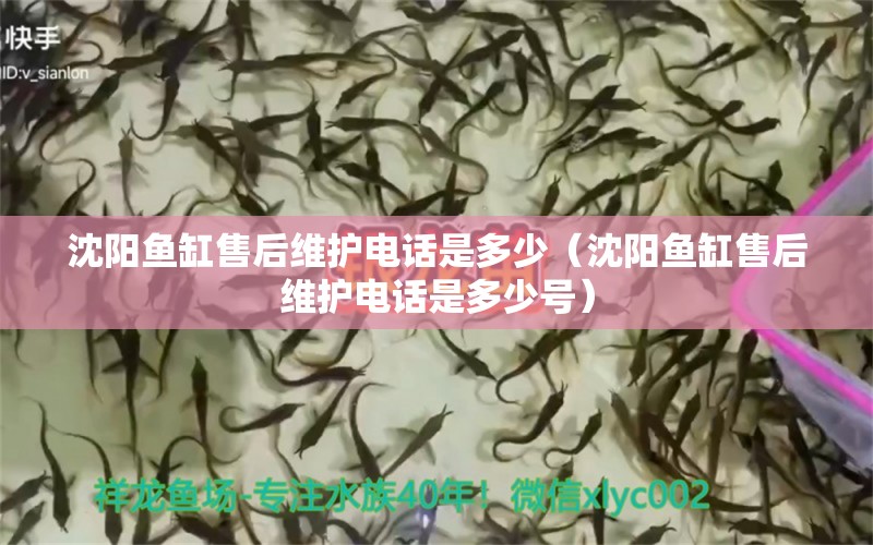 沈陽(yáng)魚(yú)缸售后維護(hù)電話是多少（沈陽(yáng)魚(yú)缸售后維護(hù)電話是多少號(hào)） 其他品牌魚(yú)缸