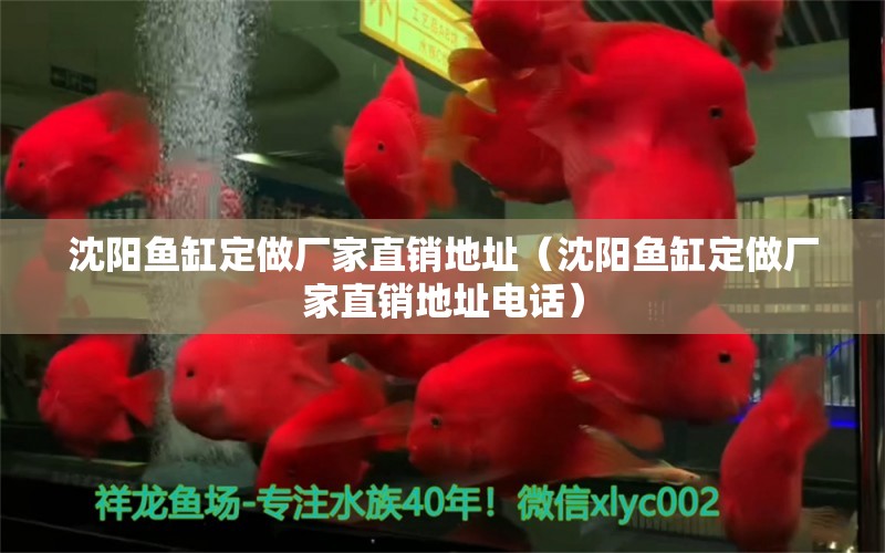 沈陽魚缸定做廠家直銷地址（沈陽魚缸定做廠家直銷地址電話）