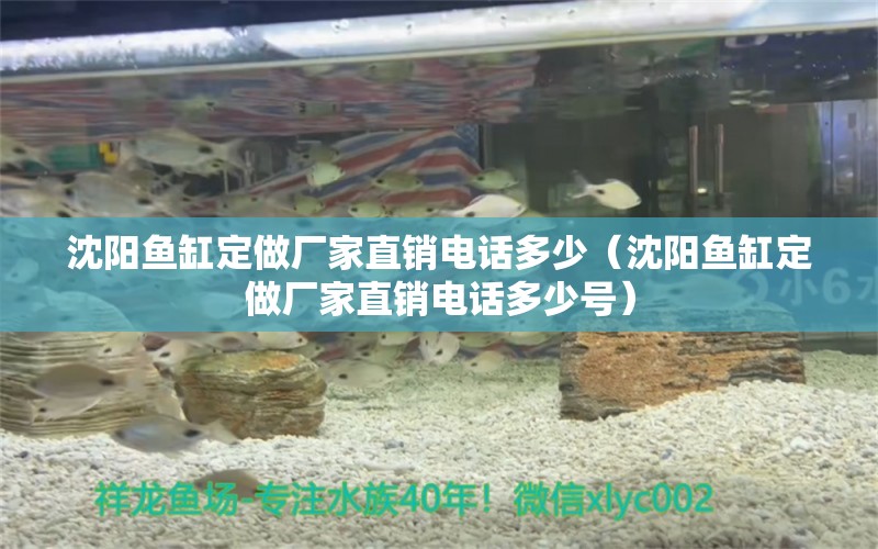 沈陽魚缸定做廠家直銷電話多少（沈陽魚缸定做廠家直銷電話多少號） 祥龍水族醫(yī)院