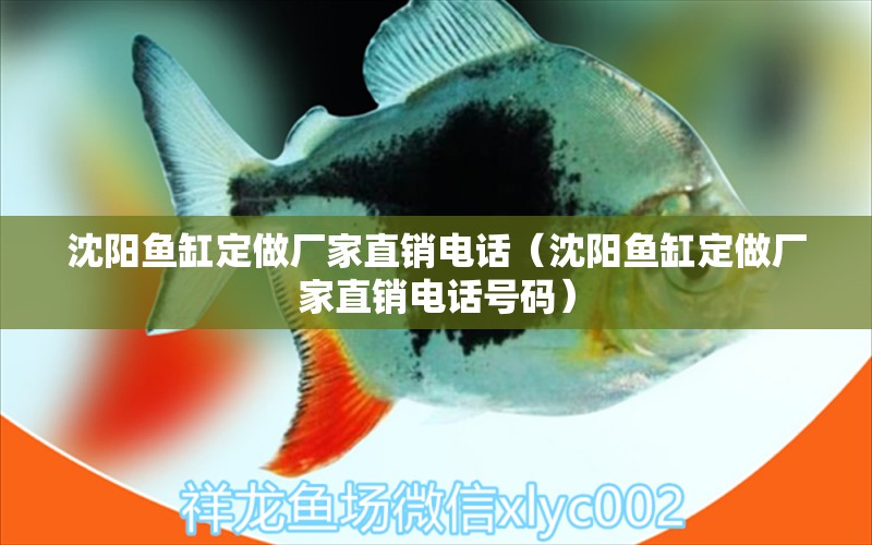 沈陽魚缸定做廠家直銷電話（沈陽魚缸定做廠家直銷電話號(hào)碼）