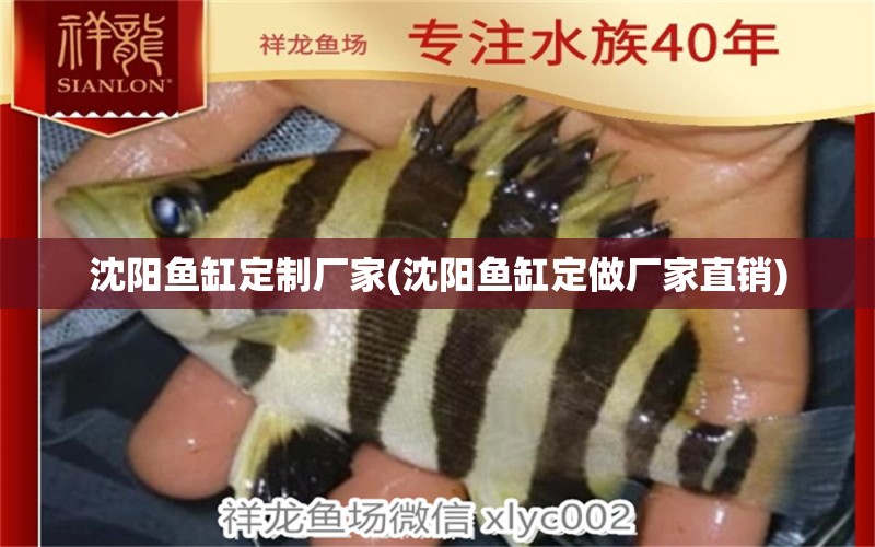 沈陽魚缸定制廠家(沈陽魚缸定做廠家直銷) 水族雜談