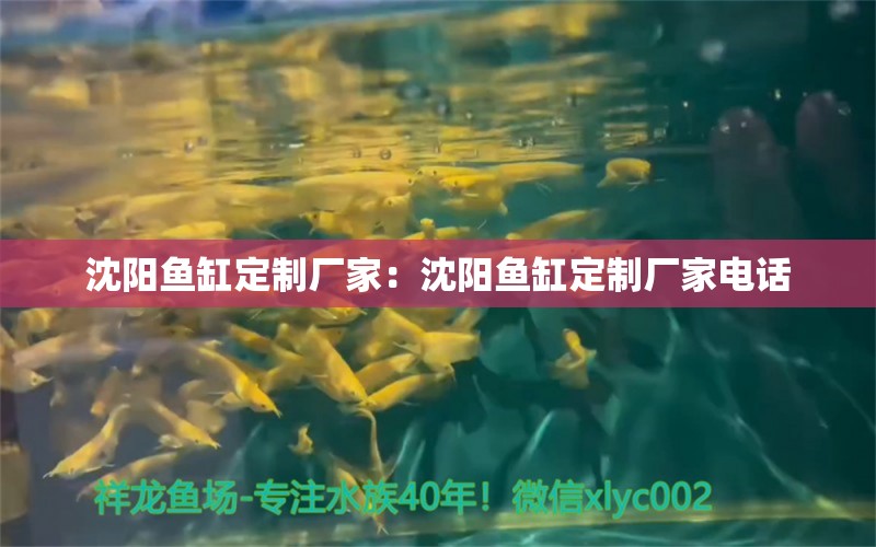 沈陽魚缸定制廠家：沈陽魚缸定制廠家電話