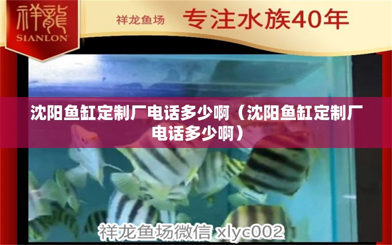 沈陽魚缸定制廠電話多少啊（沈陽魚缸定制廠電話多少?。? title=