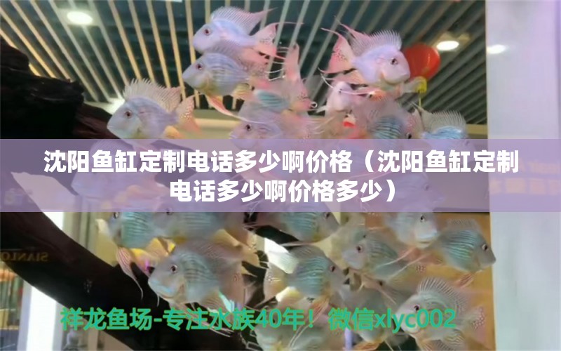 沈陽魚缸定制電話多少啊價(jià)格（沈陽魚缸定制電話多少啊價(jià)格多少）