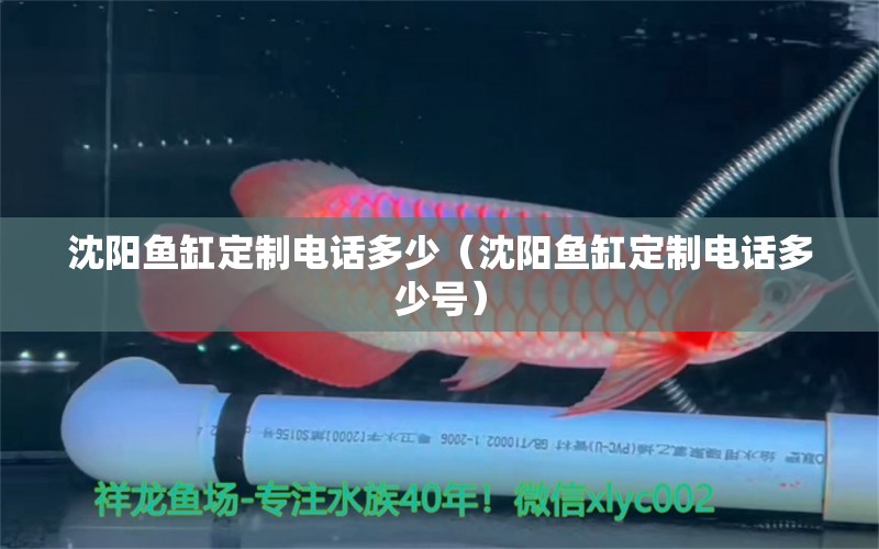 沈陽魚缸定制電話多少（沈陽魚缸定制電話多少號(hào)）