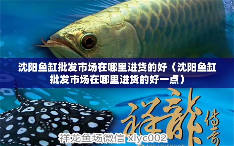 沈陽魚缸批發(fā)市場在哪里進(jìn)貨的好（沈陽魚缸批發(fā)市場在哪里進(jìn)貨的好一點(diǎn)）