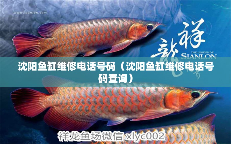 沈陽魚缸維修電話號(hào)碼（沈陽魚缸維修電話號(hào)碼查詢）