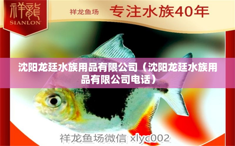 沈陽龍廷水族用品有限公司（沈陽龍廷水族用品有限公司電話） 水族用品