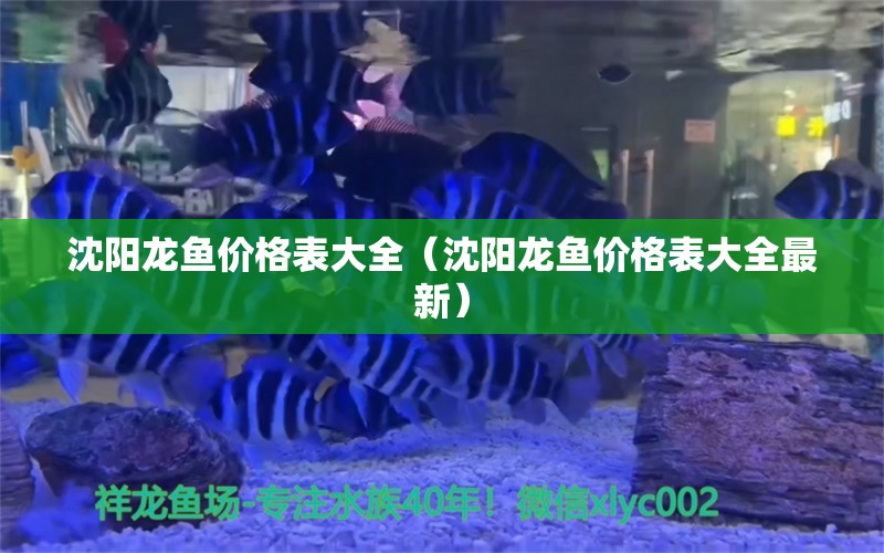 沈陽龍魚價(jià)格表大全（沈陽龍魚價(jià)格表大全最新） 過背金龍魚