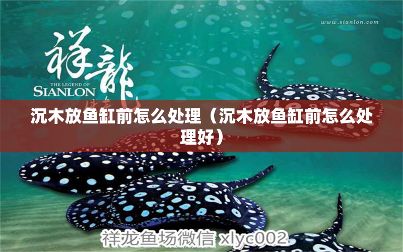 沉木放魚缸前怎么處理（沉木放魚缸前怎么處理好） 其他品牌魚缸